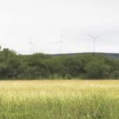 65 ESG Sustainability Actions Hero (V3)