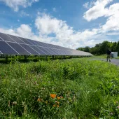 community solar header