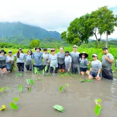  A group of people wearing matching AES Hawai'i t-shirts are volunteering in a taro field surrounded by lush green mountains and trees under a cloudy sky. The group stands in muddy water, smiling and posing for the photo, with some holding taro plants. The background highlights the vibrant greenery and Hawaiian landscape.
