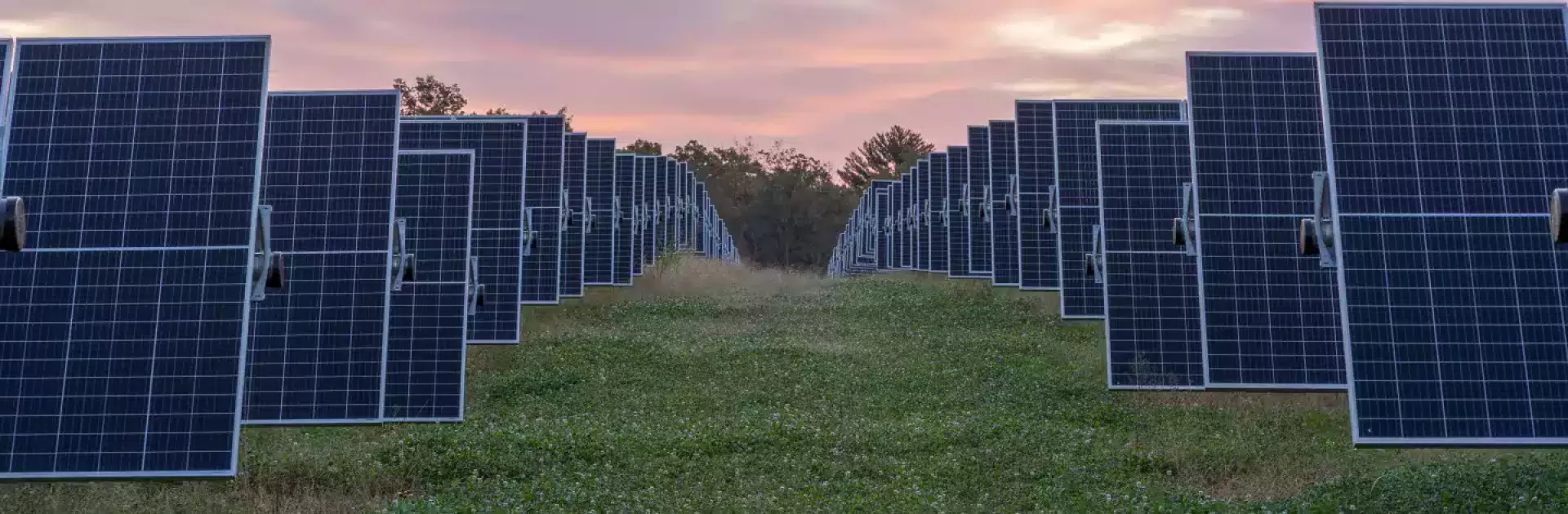 Heart pine solar header image 