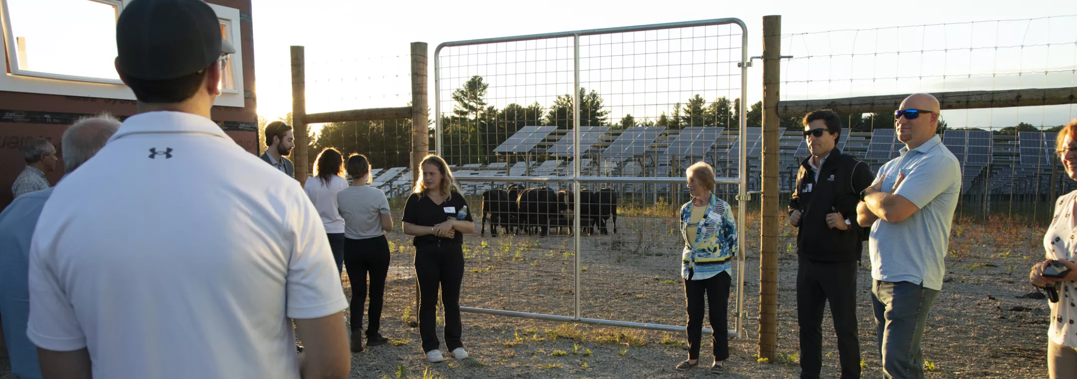 tour at cattle array