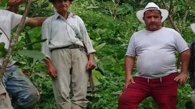 men standing in the jungle