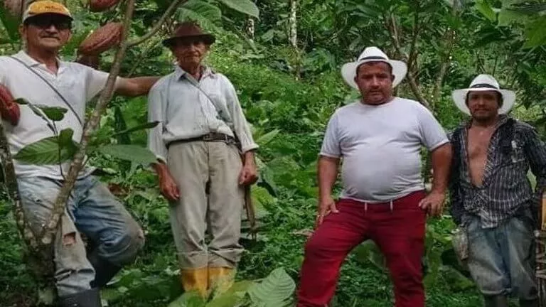 men standing in the jungle