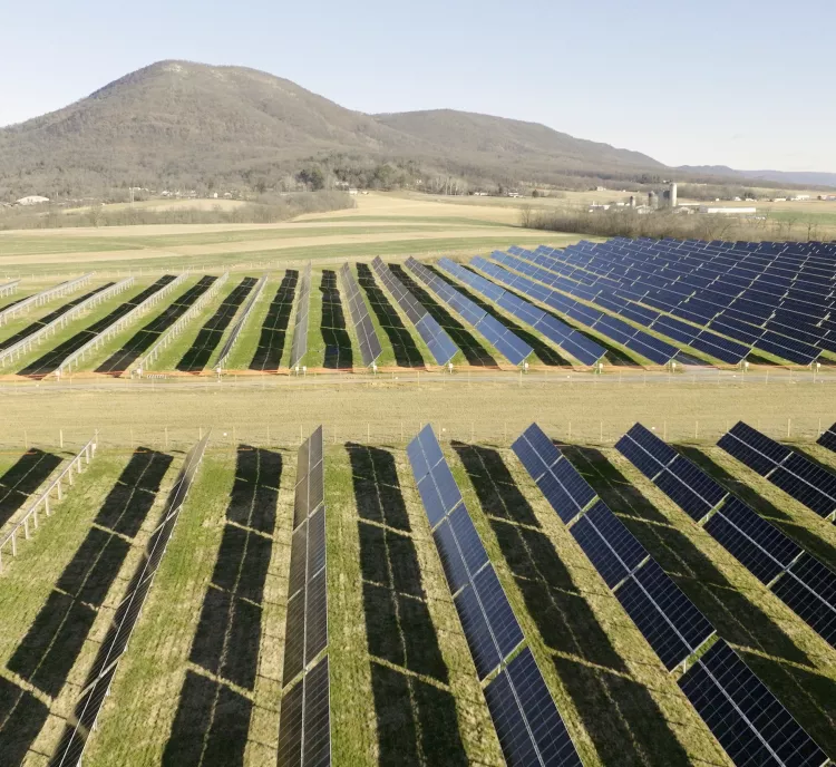 A large field of solar panels arranged in rows on a sunny day. In the background, there are rolling hills and a clear blue sky.
