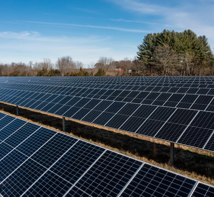 A large solar farm with rows of solar panels under a clear blue sky. The panels are aligned in neat rows, surrounded by bare trees and a few evergreens in the background.
