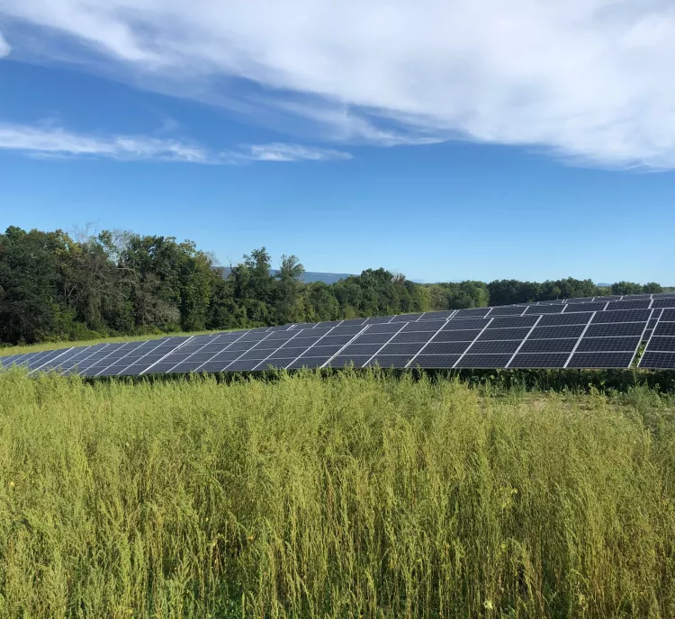 A field of solar panels surrounded by tall grass, with a backdrop of dense green trees under a partly cloudy blue sky.