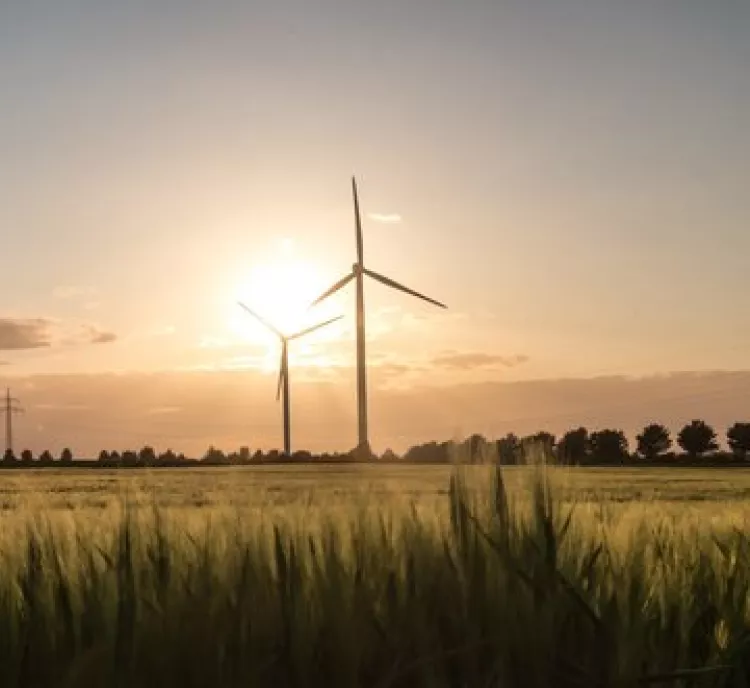 A field of tall grass with several wind turbines silhouetted against a sunset sky. The sky is partly cloudy, and the sun is near the horizon, casting a warm glow over the landscape.