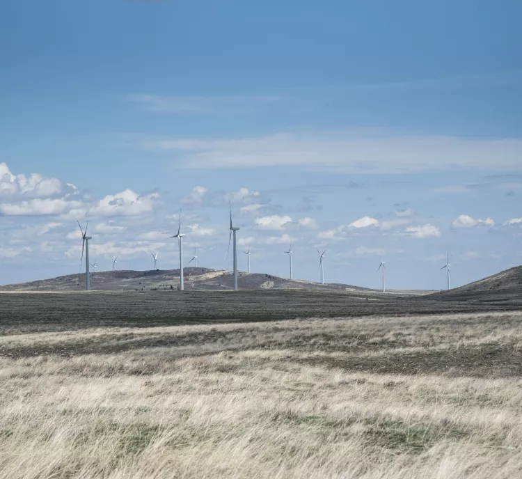 A landscape featuring several wind turbines on a grassy plain under a blue sky with scattered clouds. Rolling hills are visible in the background.