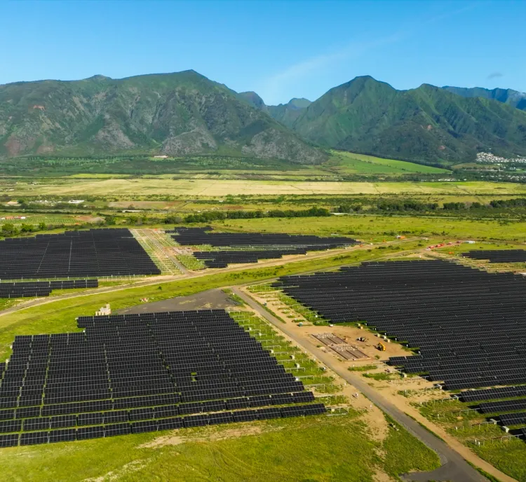 Aerial view of a large solar farm with numerous solar panels arranged in rows on a grassy landscape. In the background, green mountains rise under a clear blue sky.