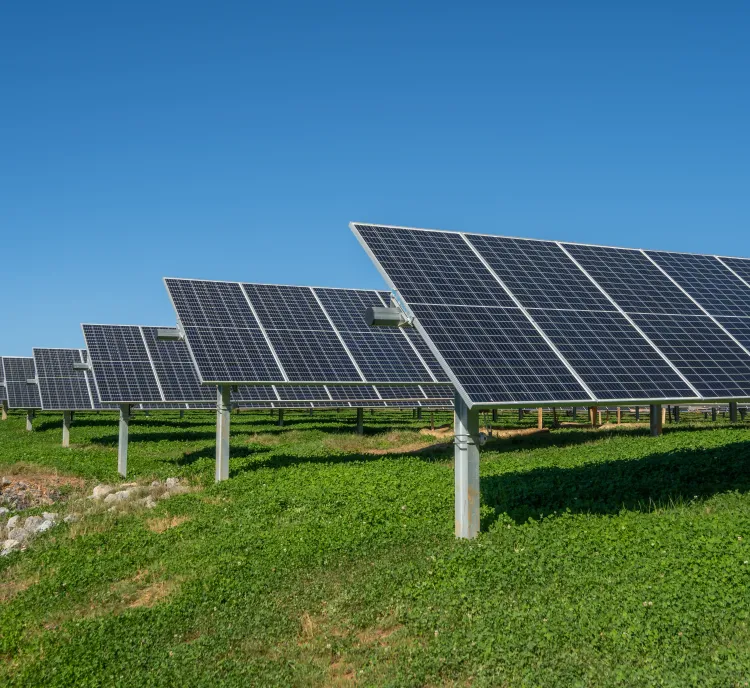 Rows of solar panels installed on a grassy field under a clear blue sky. The panels are elevated on metal supports and are aligned to capture sunlight efficiently.