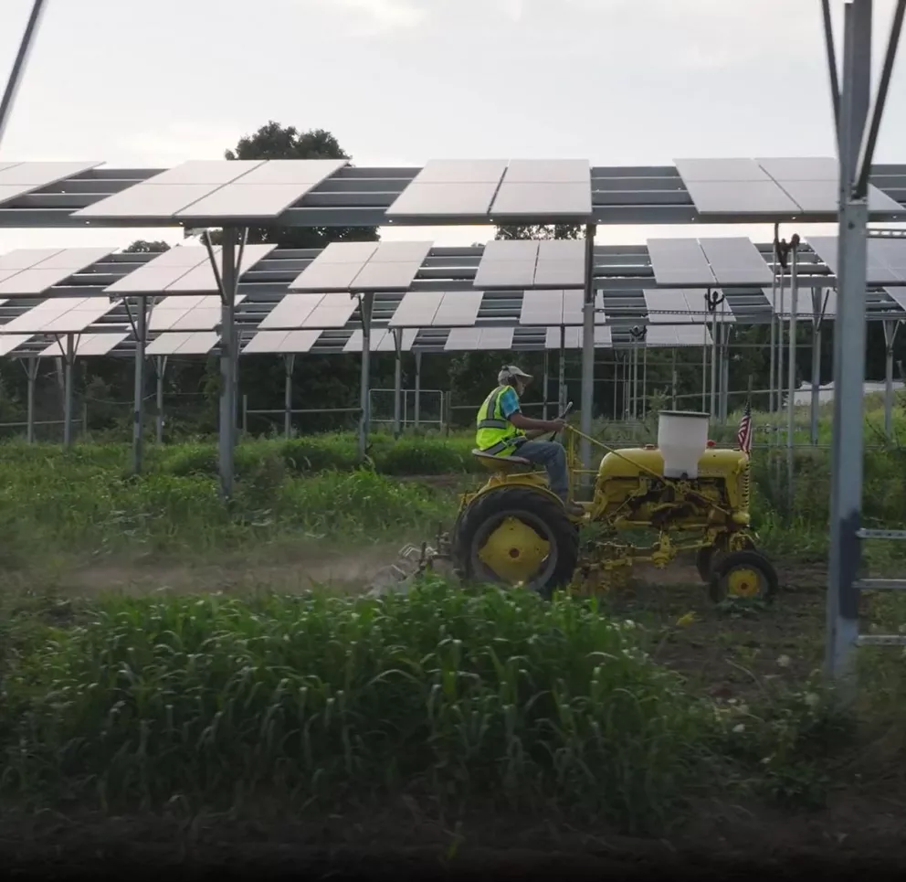 A person drives a yellow tractor under a large array of solar panels in a field. The panels are mounted on metal frames above the ground, and the area is lush with green vegetation.