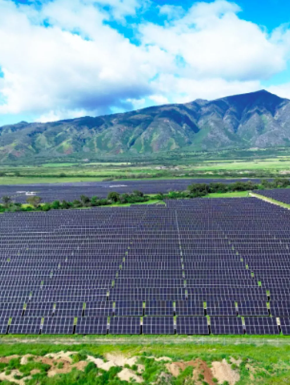 A large field of solar panels under a blue sky with scattered clouds. In the background, there are green hills and mountains.