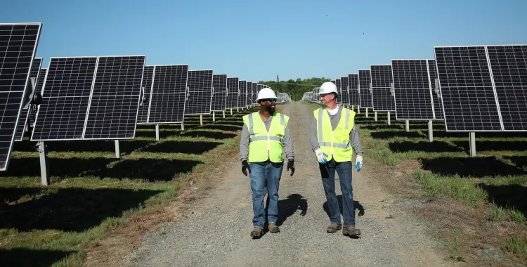 Two workers wearing safety vests and helmets walk along a gravel path between rows of solar panels under a clear blue sky.