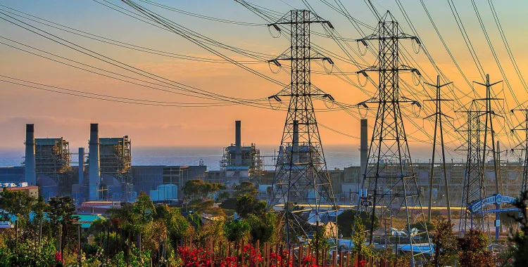 A landscape with tall electricity pylons and power lines against a sunset sky. Below, a power plant with several chimneys is visible, surrounded by trees and colorful flowers in the foreground.