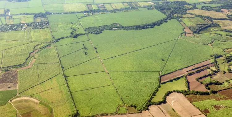 Aerial view of a patchwork of green and brown agricultural fields separated by narrow roads and tree lines. The landscape includes a mix of rectangular and irregularly shaped plots, with some areas appearing more densely vegetated. A small settlement is visible in the upper left corner.