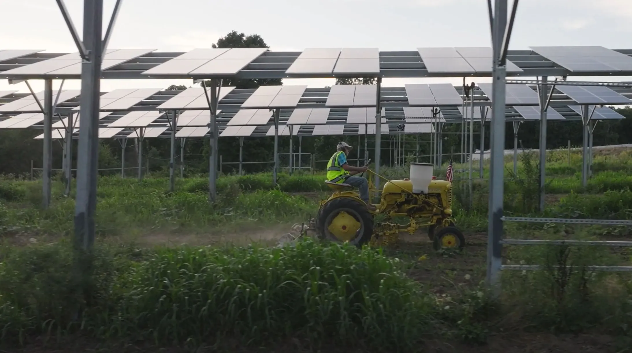 A person driving a small yellow tractor beneath large solar panel arrays in a grassy field. The panels are elevated on metal structures, and the person is wearing a safety vest and hat.
