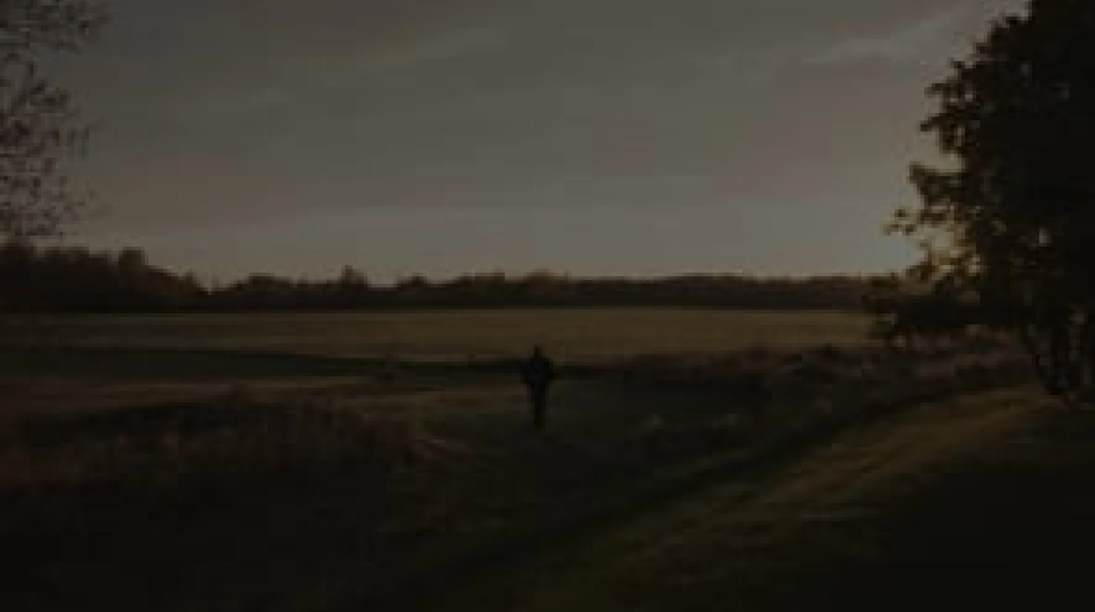 Vimeo thumbnail