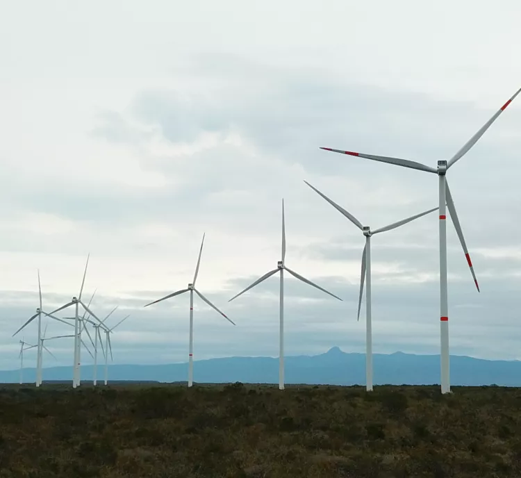 A row of wind turbines on a grassy landscape with mountains in the background under a cloudy sky.