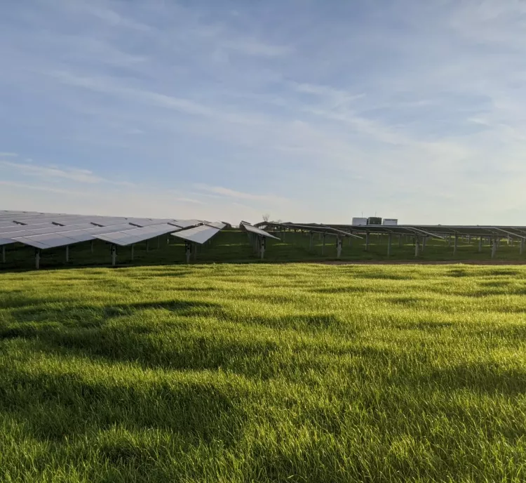 A field of solar panels stands on a lush green grass landscape under a clear blue sky. The panels are aligned in rows, capturing sunlight. In the distance, there are small buildings or structures visible.