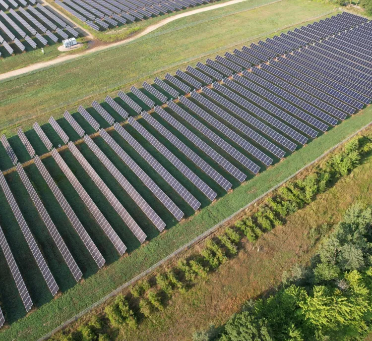 Aerial view of a large solar farm with rows of solar panels arranged in parallel lines on green grass. A dirt road runs through the farm, and trees border the area on the right side.
