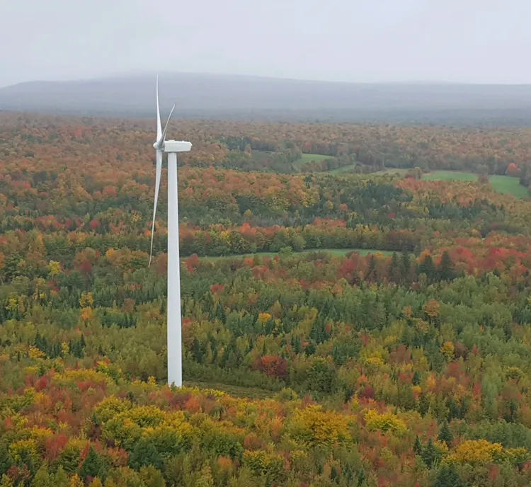 Aerial view of a wind turbine standing in a vast forest with autumn foliage in shades of green, yellow, and red. A distant mountain range is visible under a cloudy sky.