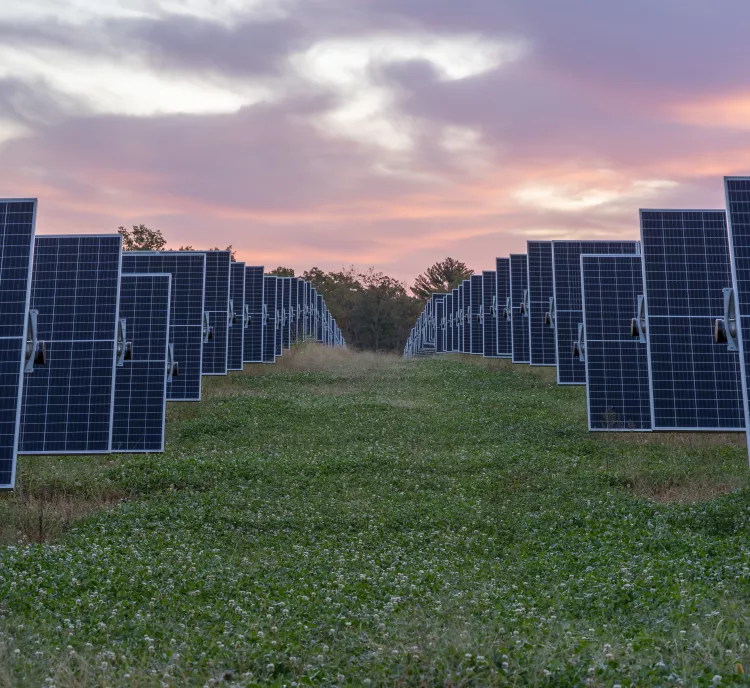 Rows of solar panels in a field under a colorful sunset sky. The panels are aligned in parallel, stretching into the distance with grass growing between them.