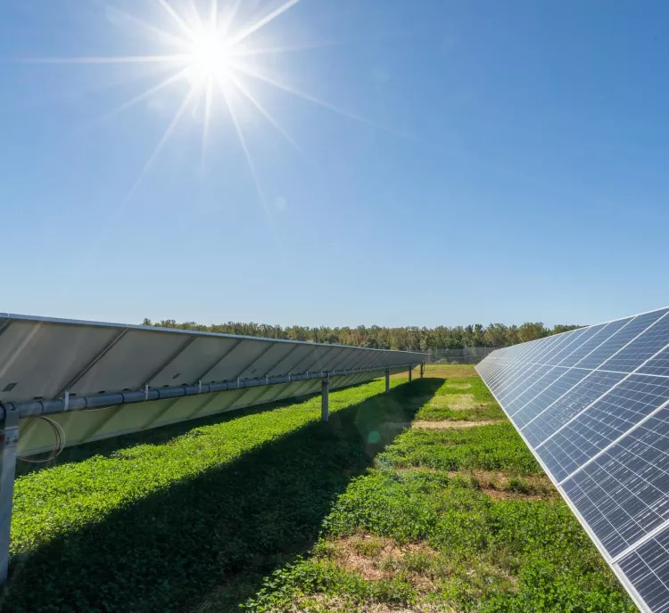 A sunny day with a clear blue sky over a field of solar panels. The panels are arranged in rows on a grassy field, with sunlight reflecting off their surfaces.