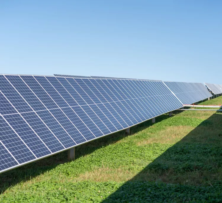 Rows of solar panels are installed on a grassy field under a clear blue sky. The panels are aligned in parallel, capturing sunlight efficiently.