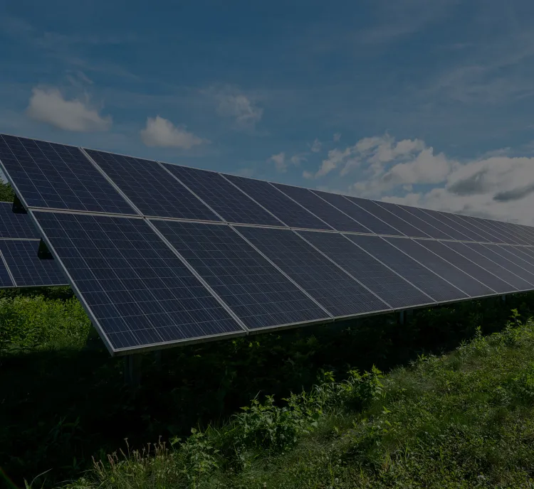 Rows of solar panels in a green field under a clear blue sky.