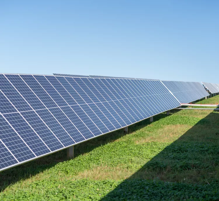 Rows of solar panels are installed on a grassy field under a clear blue sky. The panels are angled to capture sunlight, creating a pattern of reflective surfaces. A shadow falls across the grass, cast by the panels.
