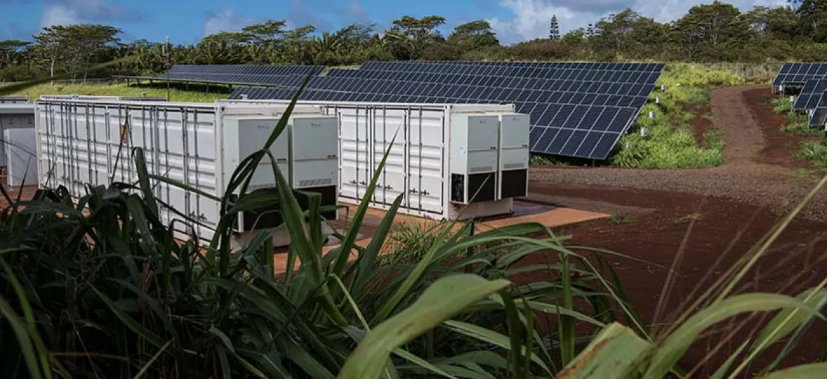 A solar farm with rows of solar panels on a grassy hillside under a blue sky. In the foreground, there are white utility containers partially obscured by tall grass. A dirt path leads through the solar panel arrays, surrounded by lush greenery and trees in the background.