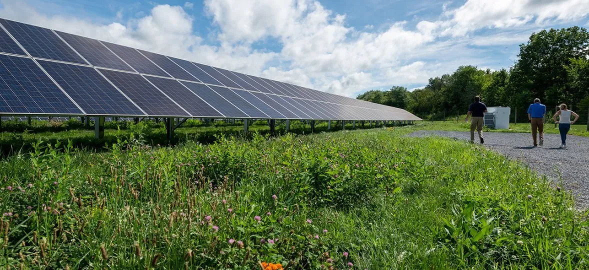 A row of solar panels in a green field under a partly cloudy sky. Three people walk on a gravel path next to the panels, surrounded by grass and wildflowers.