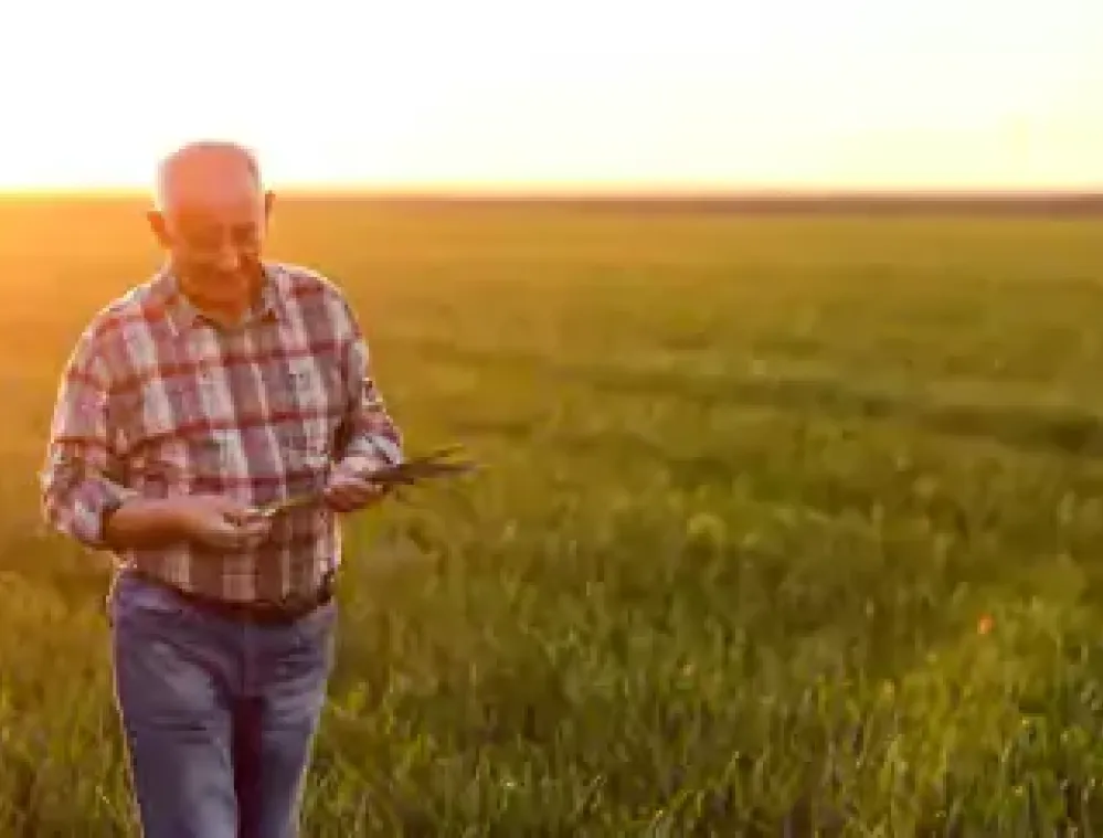 An elderly man in a plaid shirt and jeans walks through a green field at sunset, holding plants in his hands.