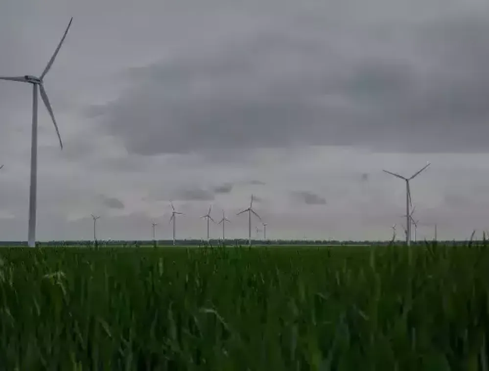 Wind turbines in a grassy field under a cloudy sky.