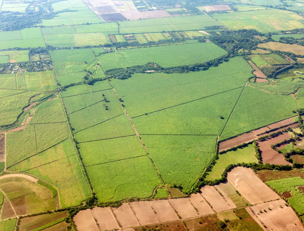 Aerial view of a patchwork of agricultural fields with varying shades of green and brown, separated by narrow dirt roads and hedgerows. The landscape includes small clusters of trees and a few scattered buildings, indicating rural habitation.