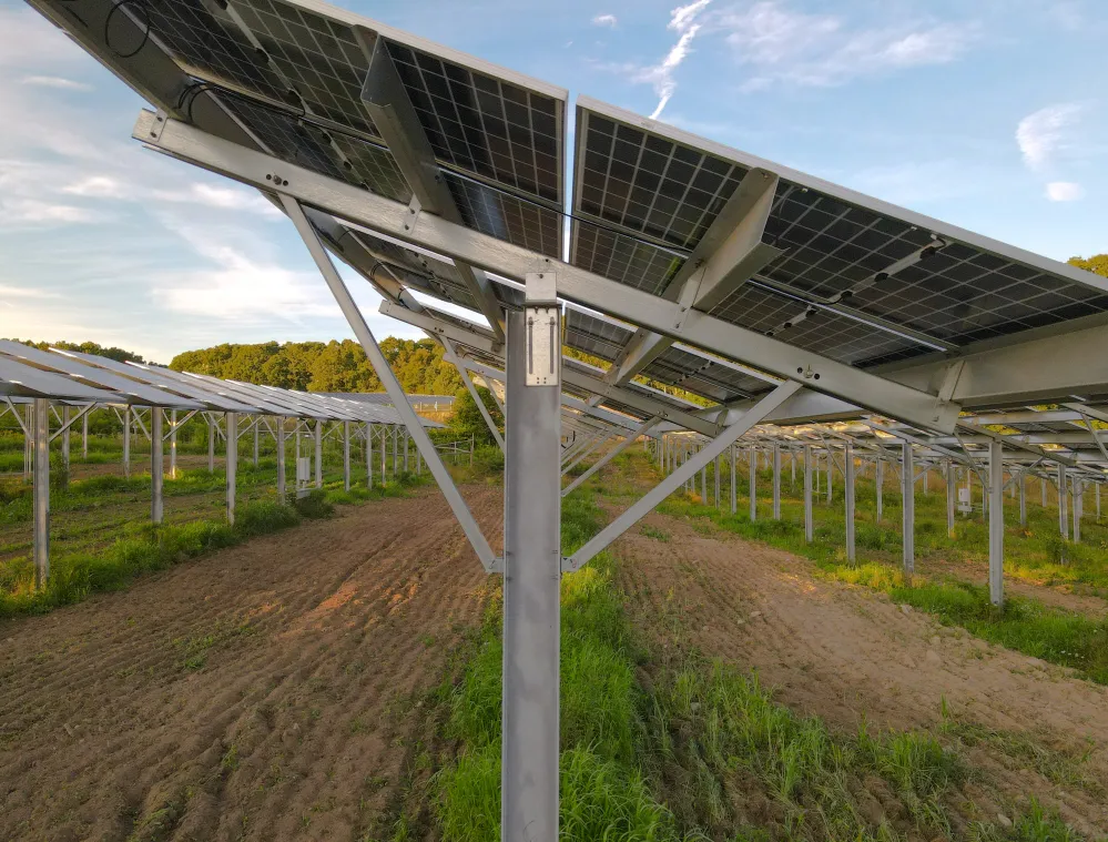 Rows of solar panels mounted on metal frames in a field with green grass and tilled soil, under a clear blue sky.