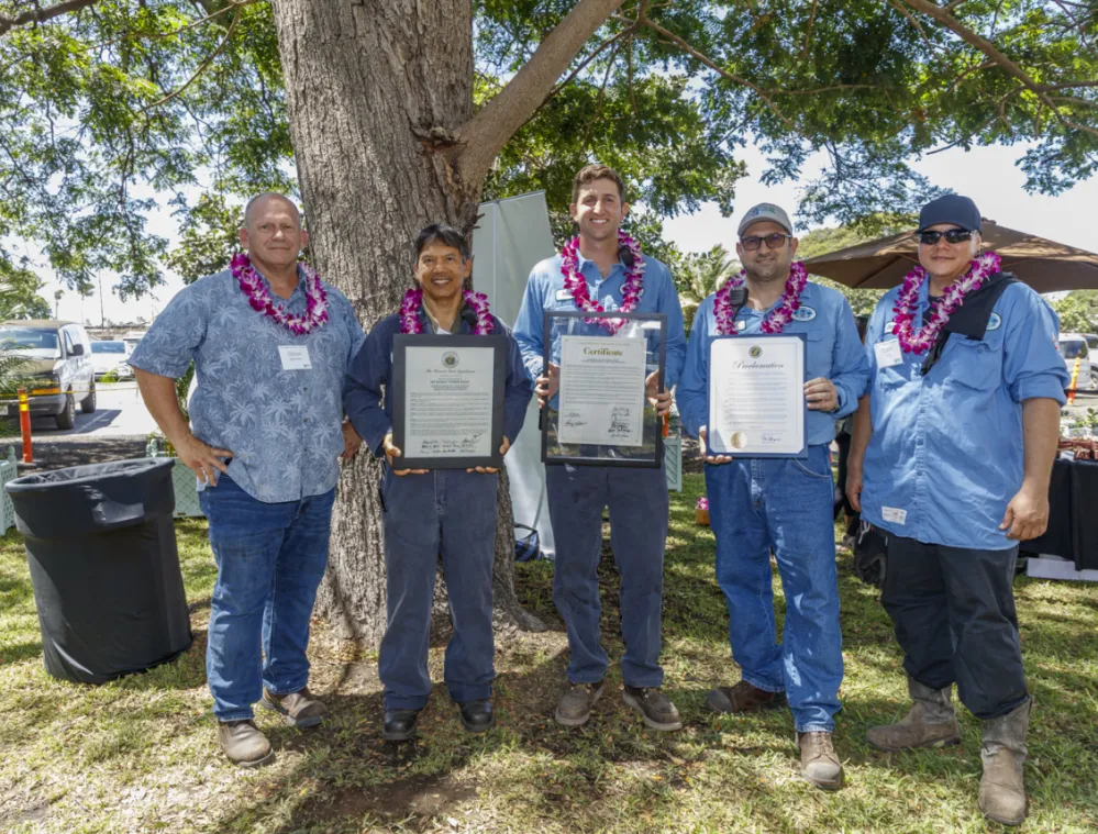 hawaii-plant.jpg
