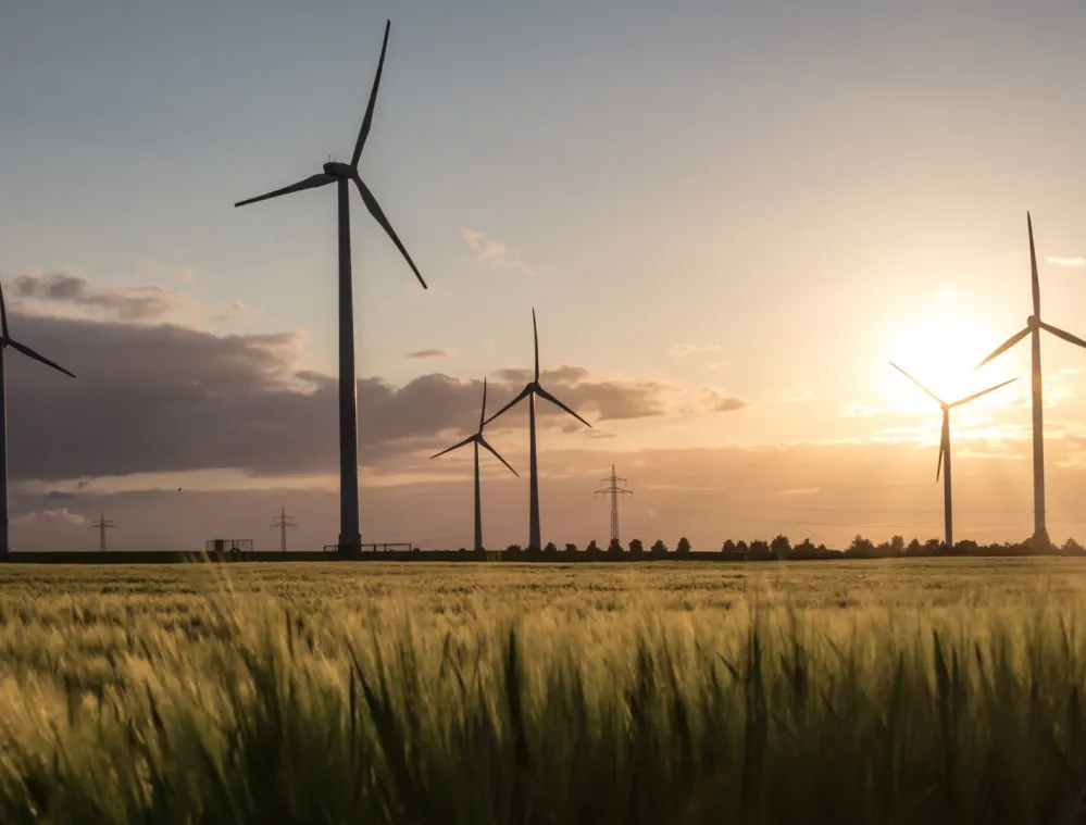 wind_turbines.jpg