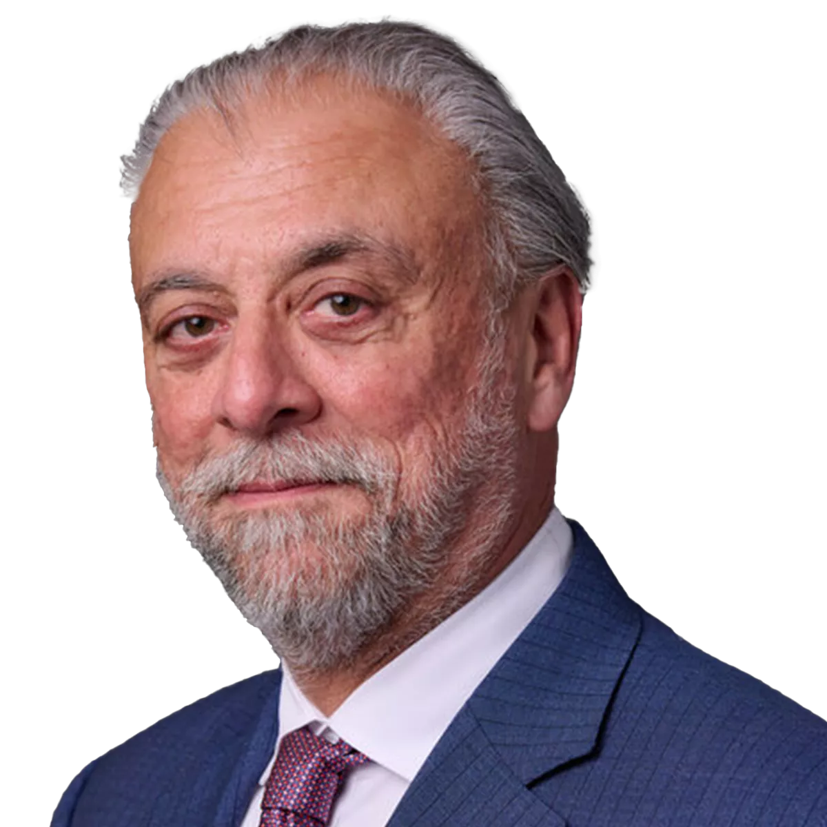 Portrait of an older man with gray hair and beard, wearing a blue suit and white shirt with a patterned tie, against a gray background.